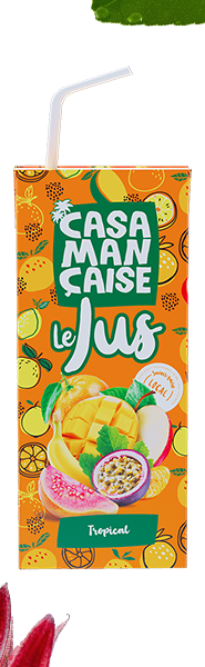 Brique Casamançaise Le Jus Tropical 200 ml
