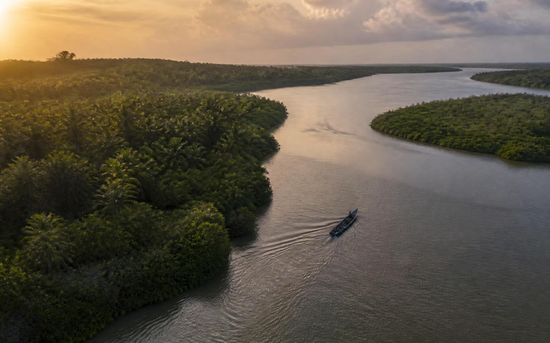 Terre fertile de Casamance, végétation luxuriante au soleil
